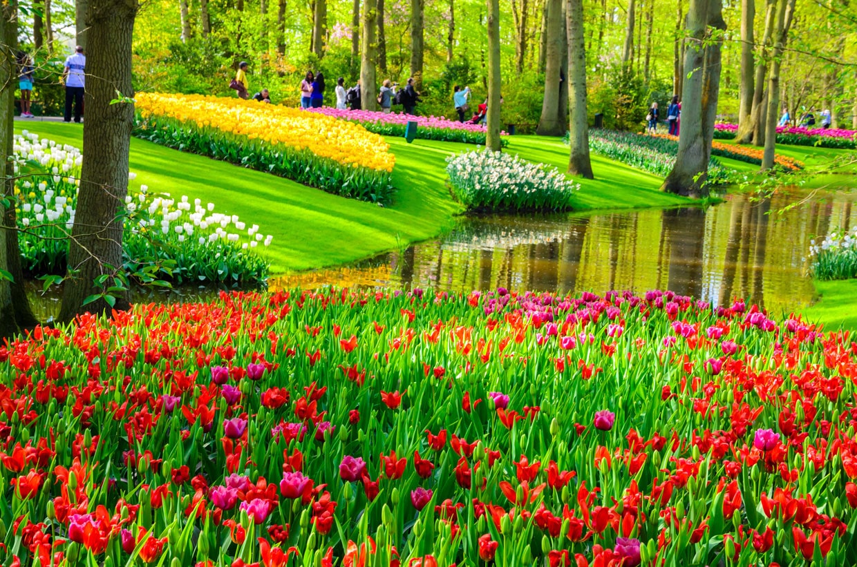 Keukenhof Garden in Netherlands