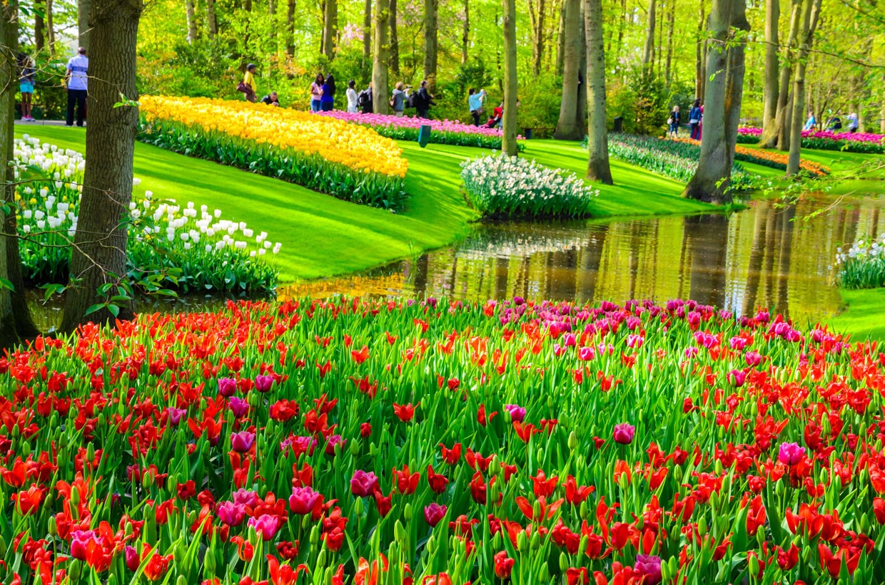 Keukenhof Garden in Netherlands
