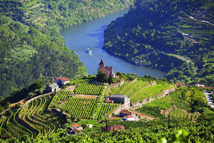 Douro Valley