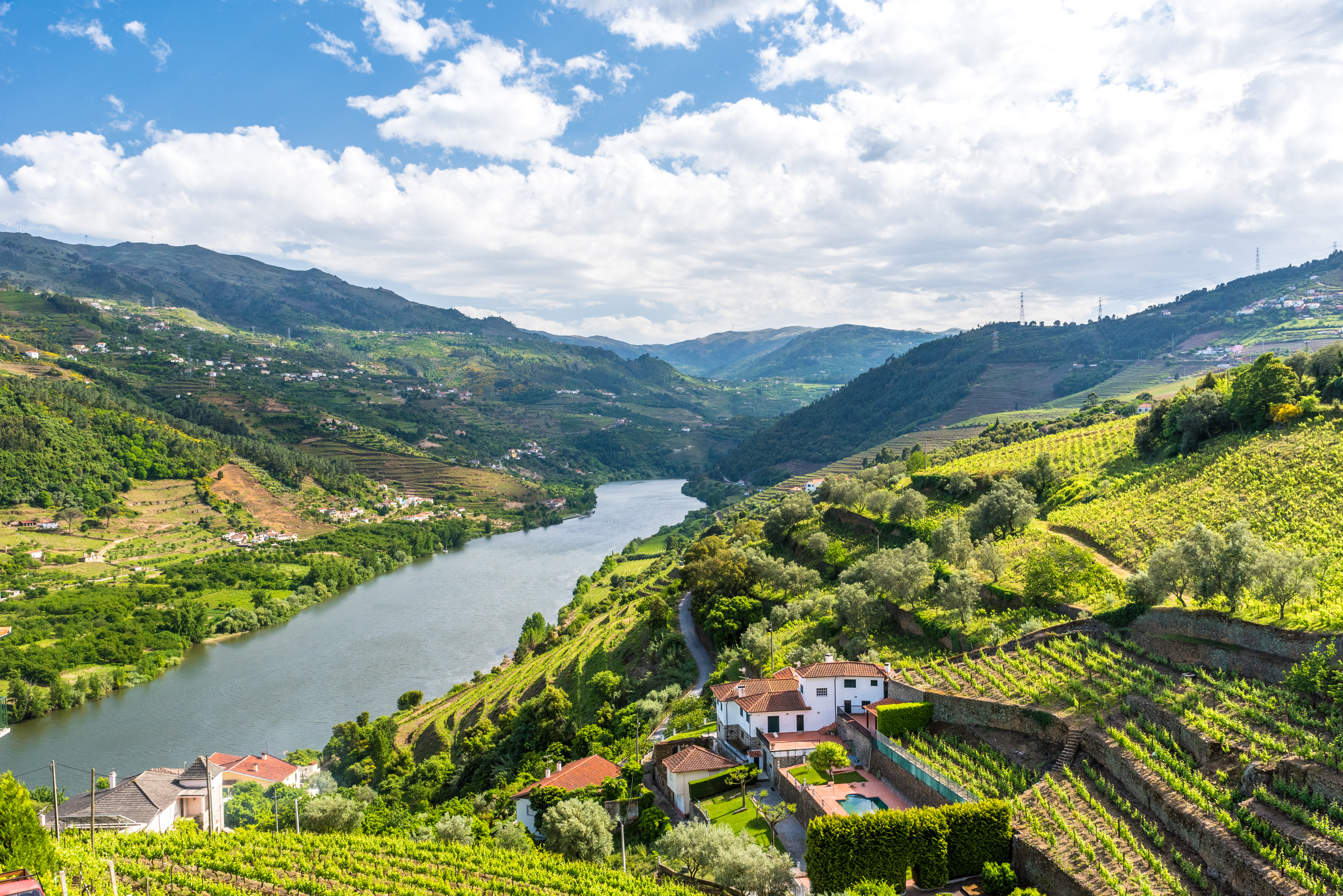 Douro Valley Vineyards