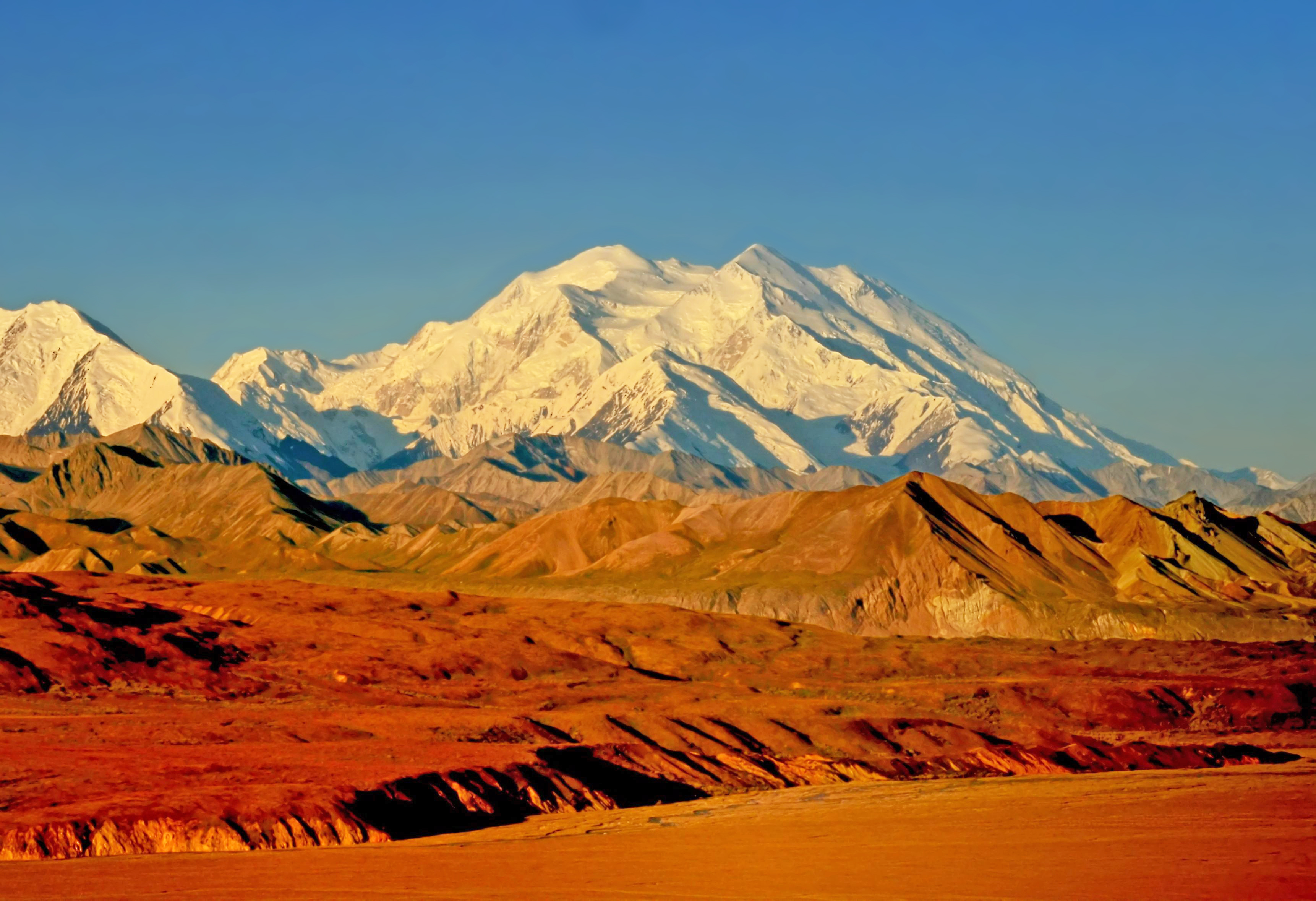 Denali National Park