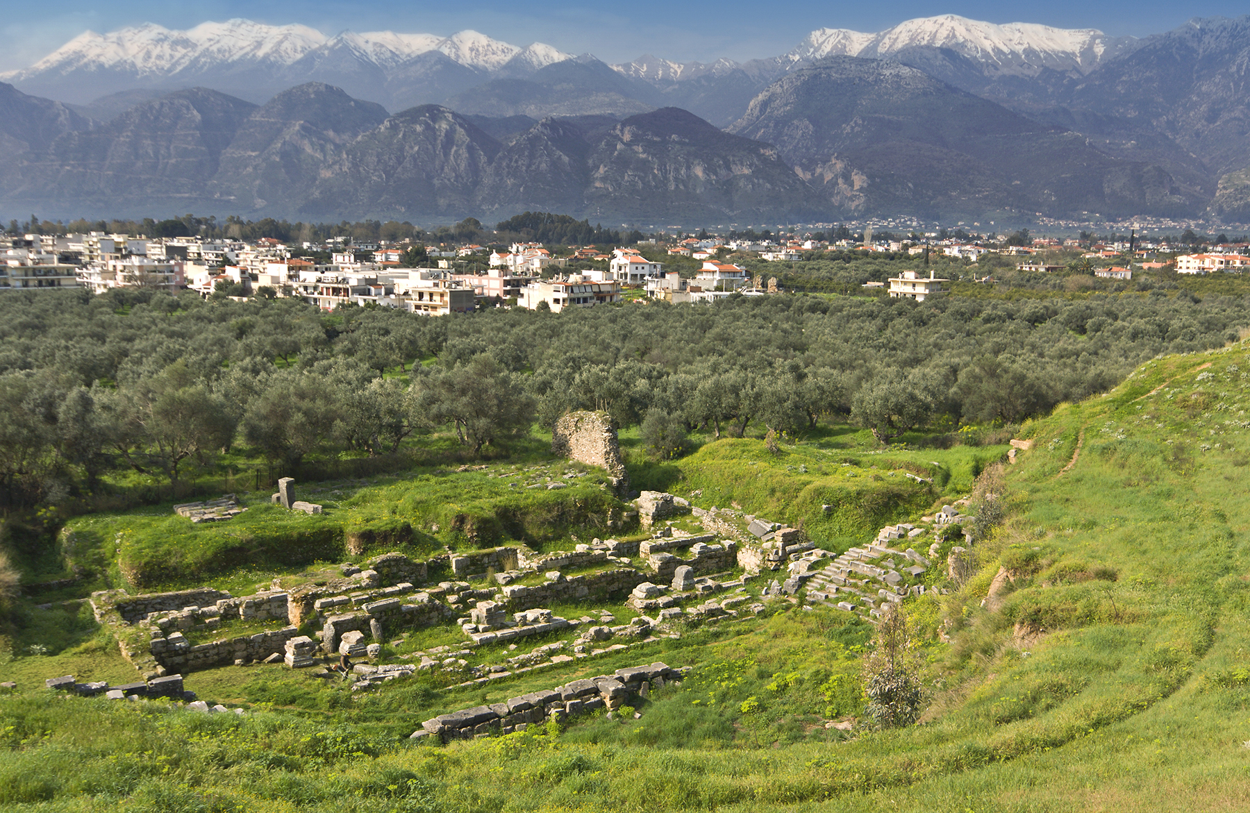 Sparta