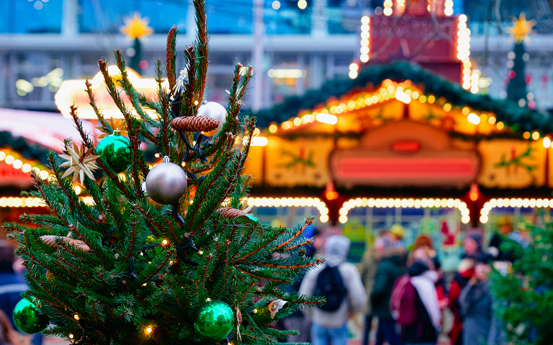 Christmas tree and building
