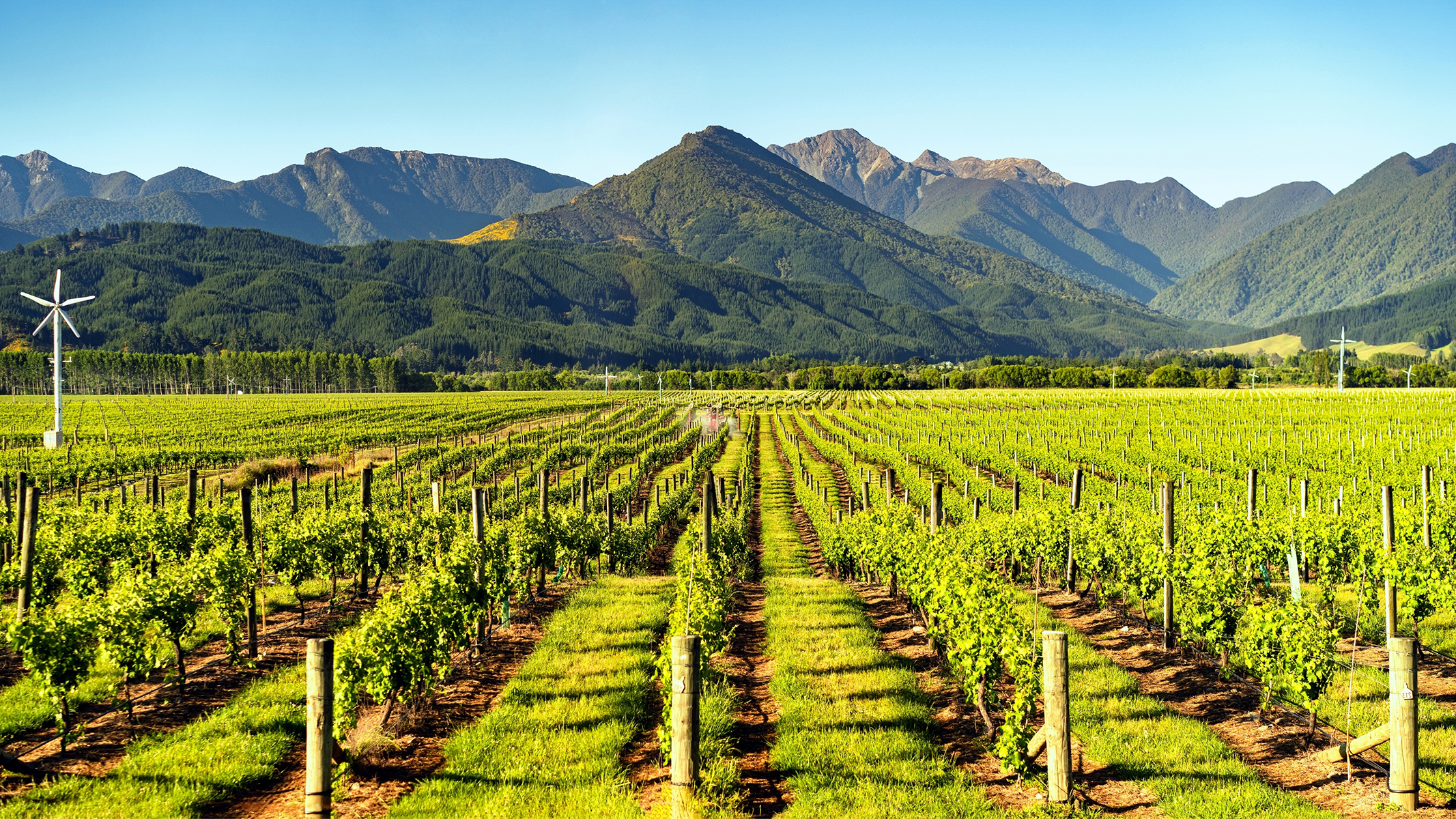 Marlborough